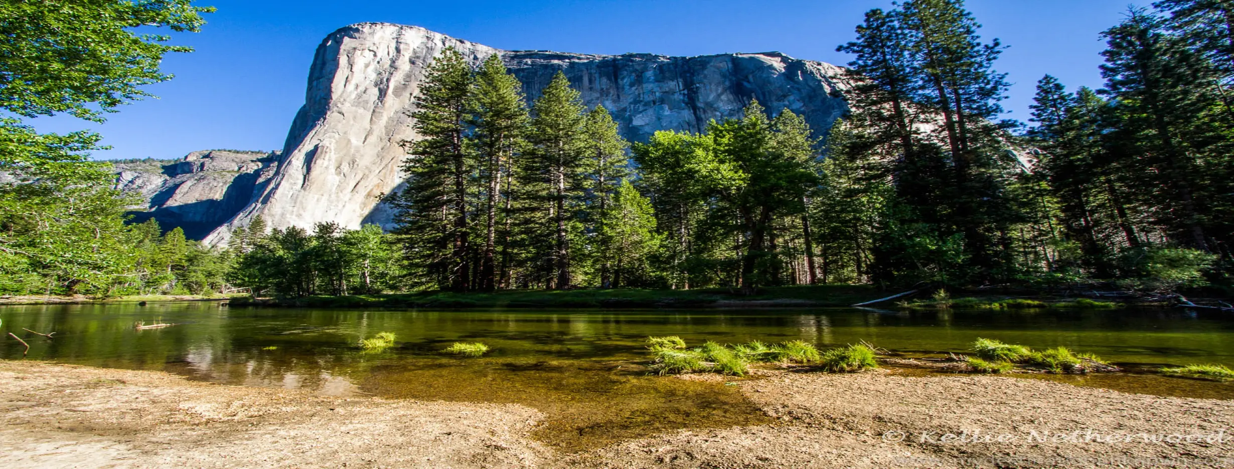 Image for Yosemite National Park